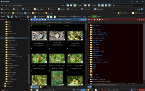 Directory Opus Silent Installers