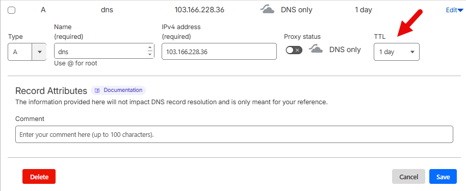 Cấu hình cài đặt dns.bibica.net trên SpeedyPage Singapore