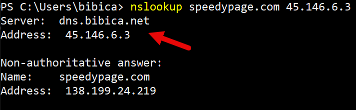 Cảm ơn SpeedyPage  đã hỗ trợ rất nhiều cho dự án này Cấu hình cài đặt dns.bibica.net trên SpeedyPage Singapore