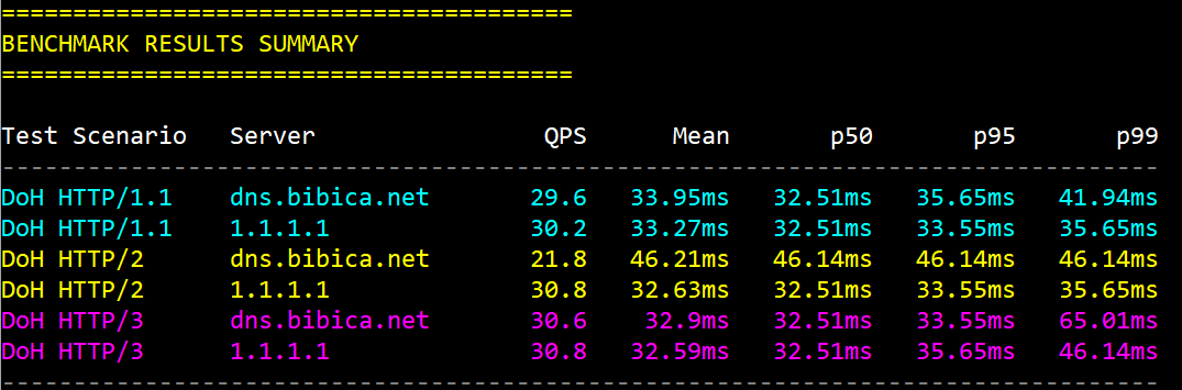 Cấu hình cài đặt dns.bibica.net trên SpeedyPage Singapore
